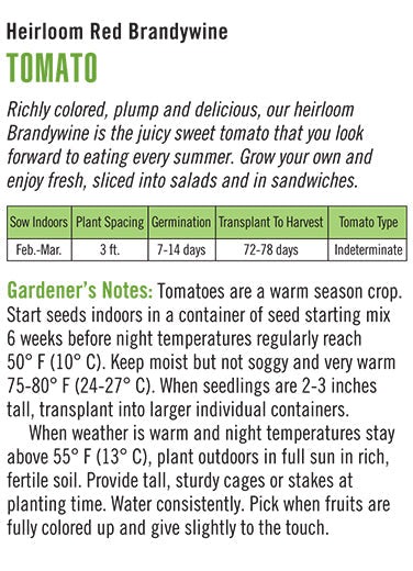 'Brandywine Red' Heirloom Tomatoes