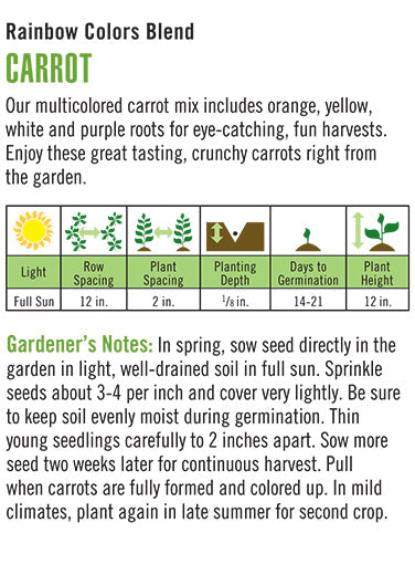 'Rainbow Colors Blend' Carrot