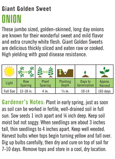 Giant Golden Sweet