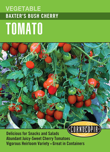'Baxter's Bush Cherry' Tomato