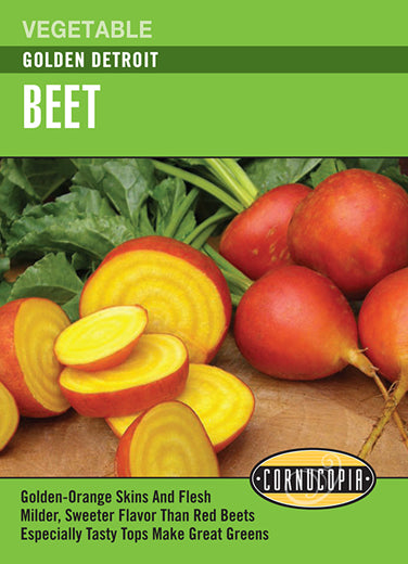 'Golden Detroit' Golden Beet