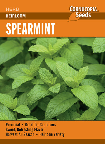 Spearmint