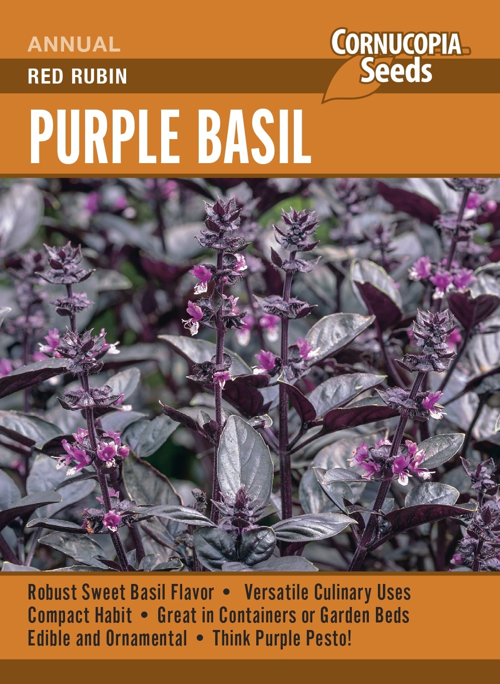 Purple Basil - Red Rubin