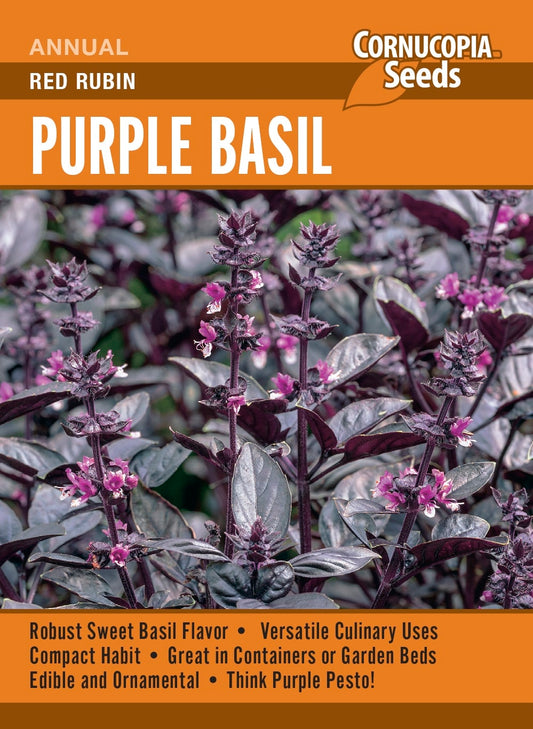 Purple Basil - Red Rubin
