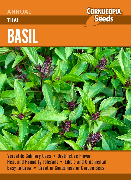 Basil - Thai