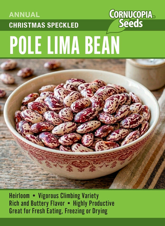 Pole Lima Bean - Christmas Speckled