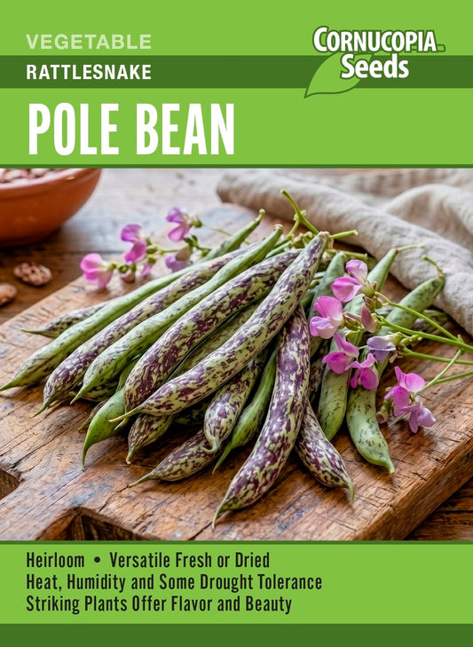 Pole Bean - Rattlesnake