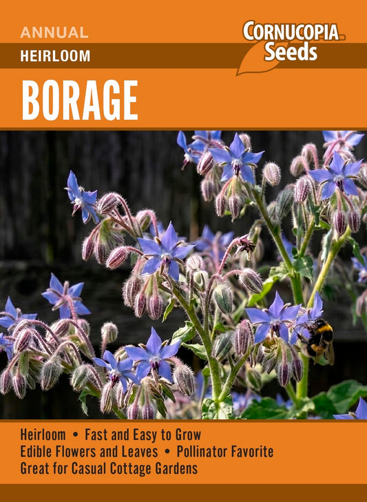 Borage - Heirloom