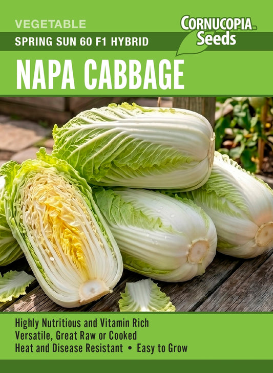 Napa Cabbage - Spring Sun 60 F1 Hybrid
