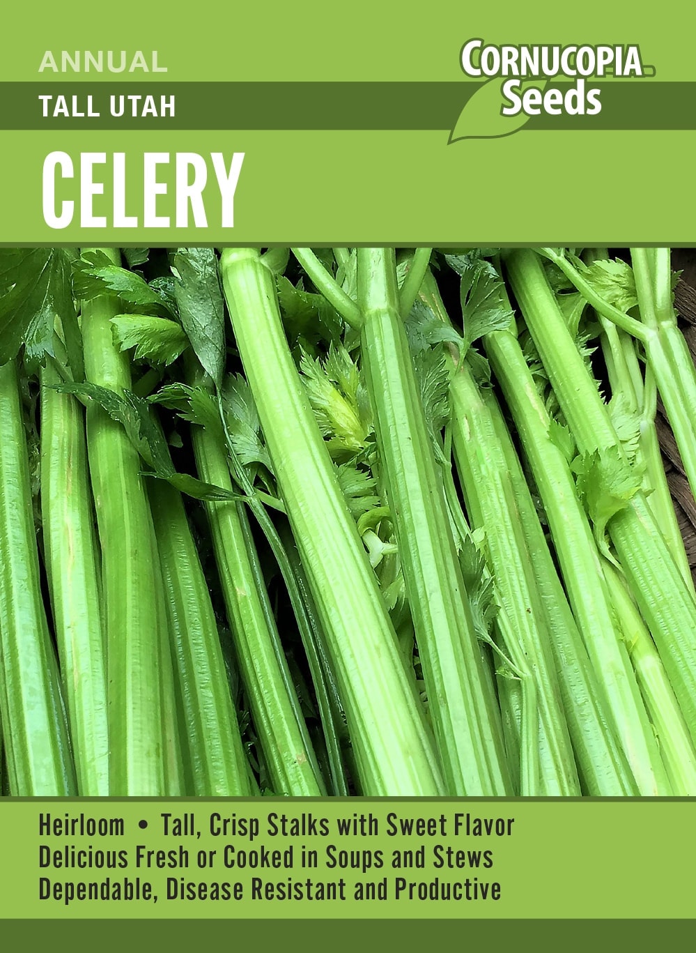 Celery - Tall Utah