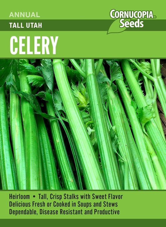 Celery - Tall Utah