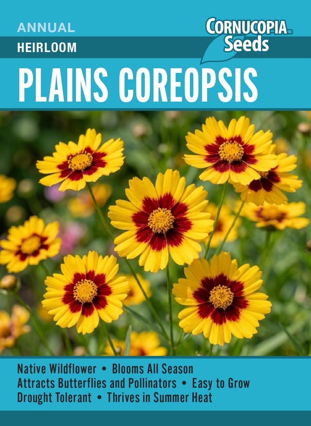 Plains Coreopsis - Heirloom