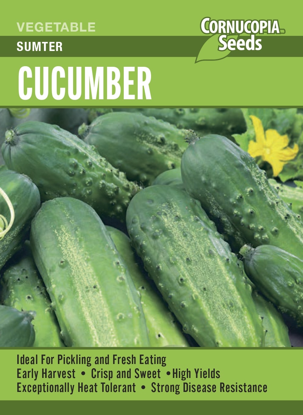 Cucumber - Sumter