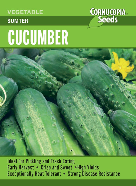 Cucumber - Sumter