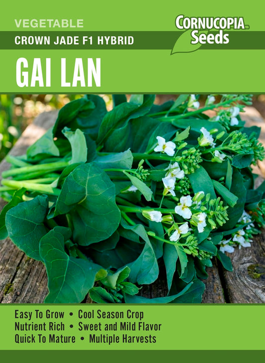 Gai Lan - Crown Jade F1 Hybrid