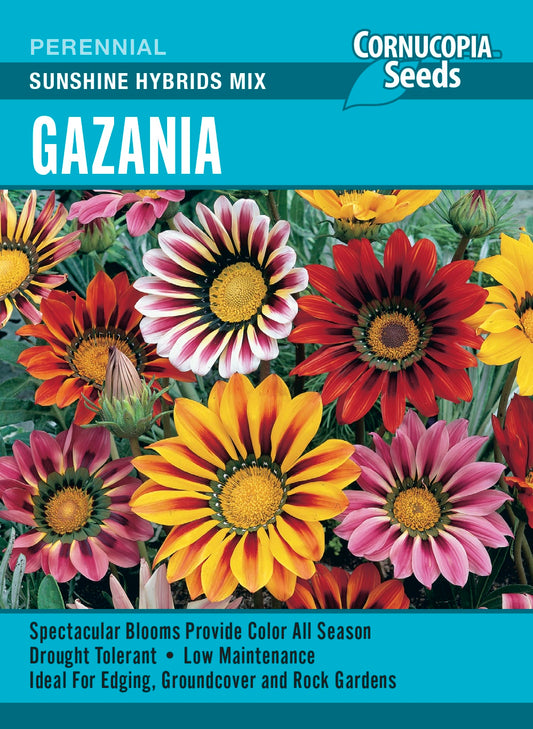 Gazania - Sunshine Hybrids Mix