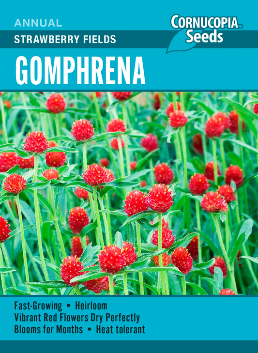Gomphrena - Strawberry Fields