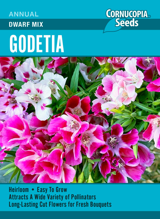 Godetia - Dwarf Mix