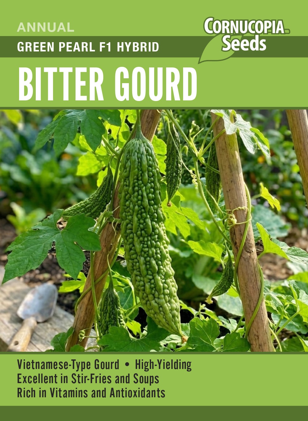 Bitter Gourd - Green Pearl F1 Hybrid