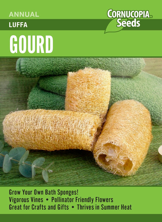 Gourd - Luffa