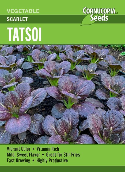 Tatsoi - Scarlet