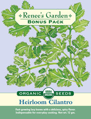 Heirloom Cilantro