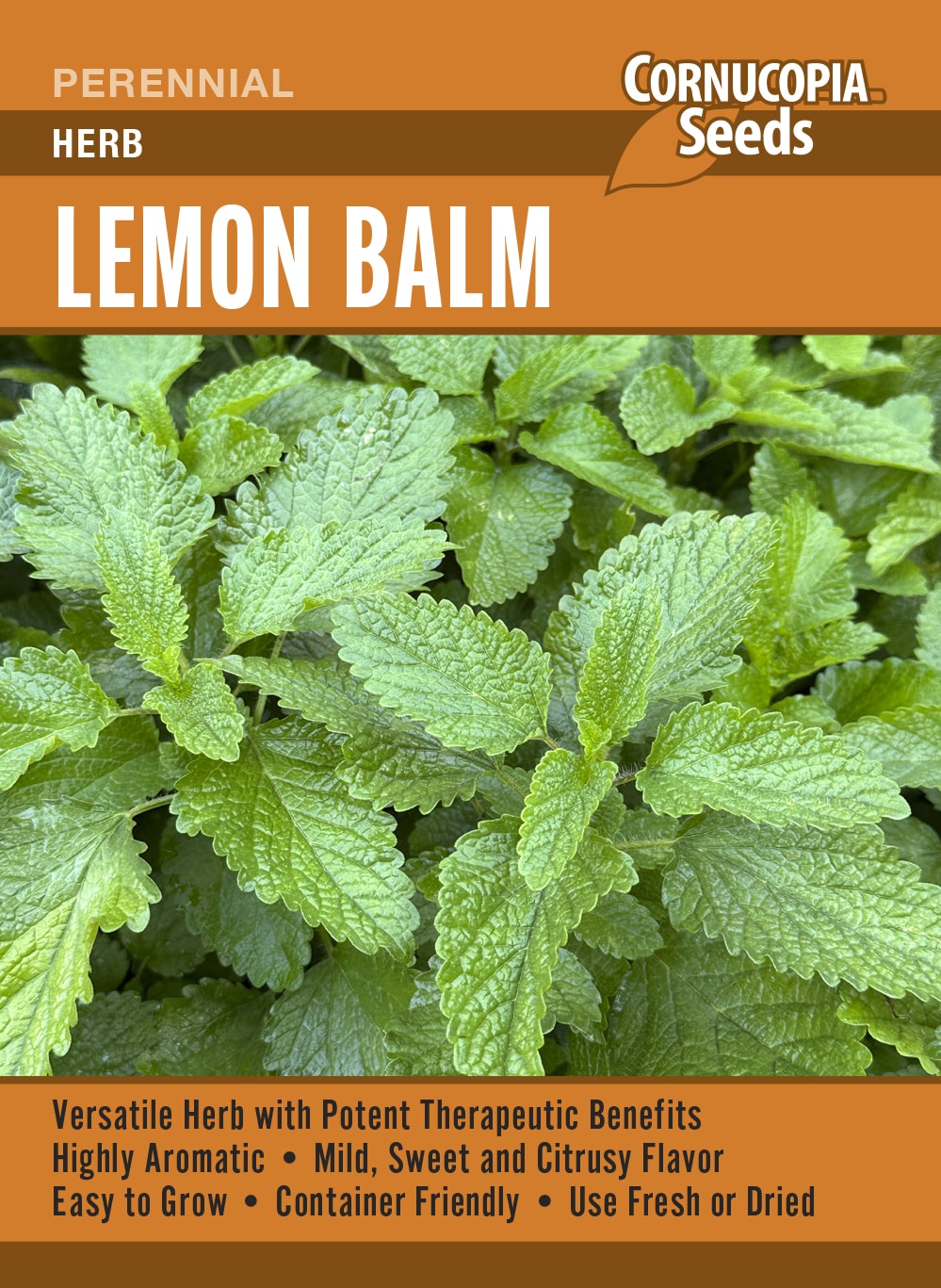 Lemon Balm - Herb