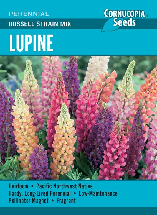 Lupine - Russell Strain Mix