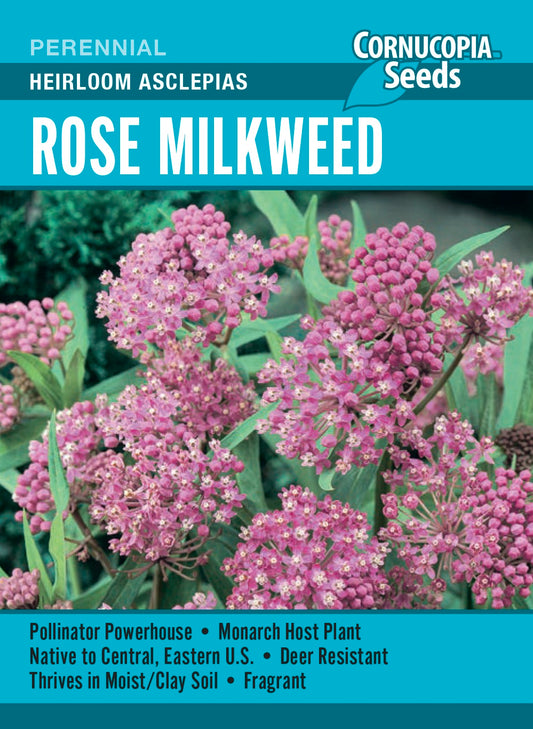 Rose Milkweed - Heirloom Asclepias