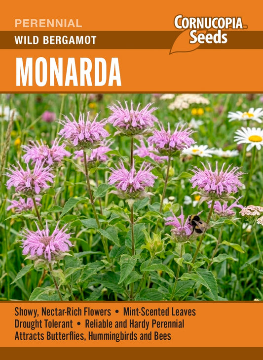 Monarda - Wild Bergamot