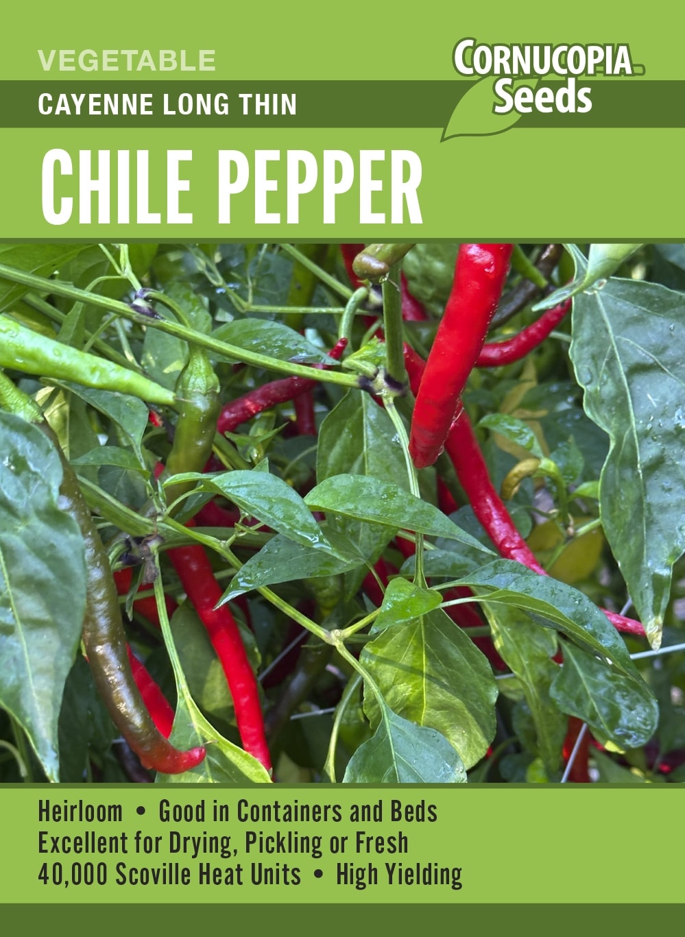 Chile Pepper - Cayenne Long Thin