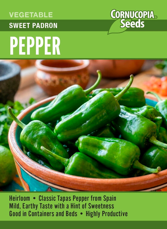 Pepper - Sweet Padron