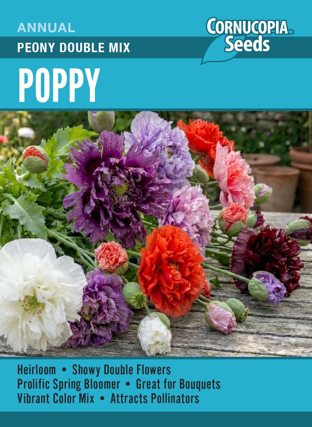 Poppy - Peony Double Mix