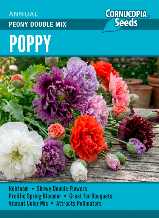 Poppy - Peony Double Mix