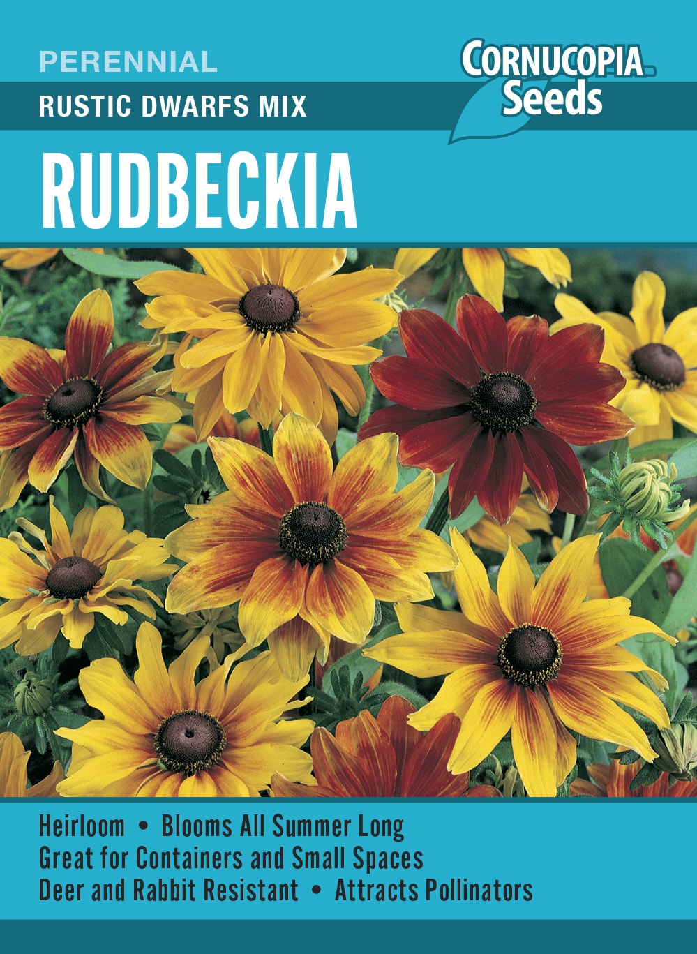 Rudbeckia - Rustic Dwarfs Mix