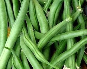 Pole Bean Blue Lake