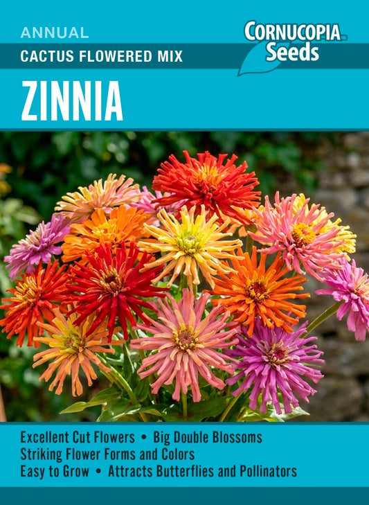Zinnia - Cactus Flowered Mix