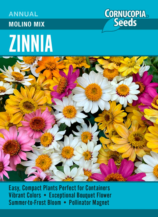 Zinnia - Molino Mix