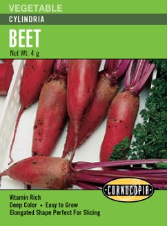 Beet Cylindria Seeds