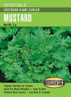 Heirloom Mustard, Southern Giant Curled