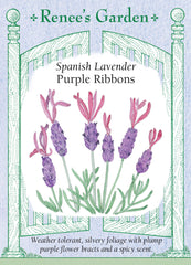 Purple Ribbons