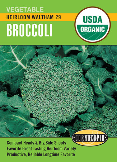Heirloom Waltham 29 Organic Broccoli