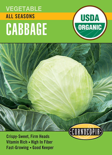 'All Seasons' Organic Cabbage
