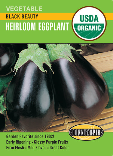'Black Beauty' Organic Eggplant