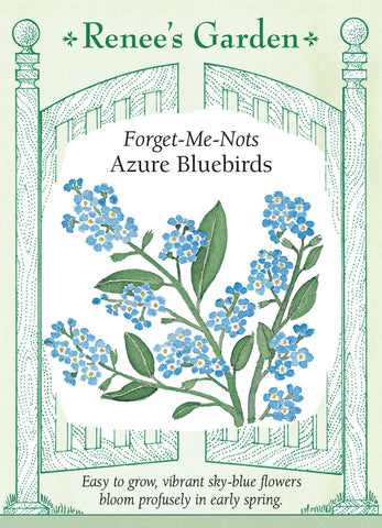 Azure Bluebirds