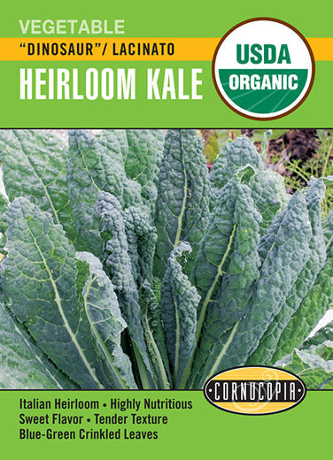 'Dinosaur Lacinato' Organic Kale