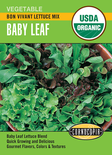 'Bon Vivant Baby Leaf Mix' Organic Lettuce