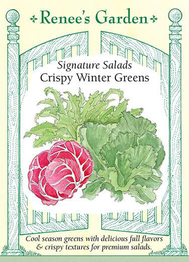 Crispy Winter Greens