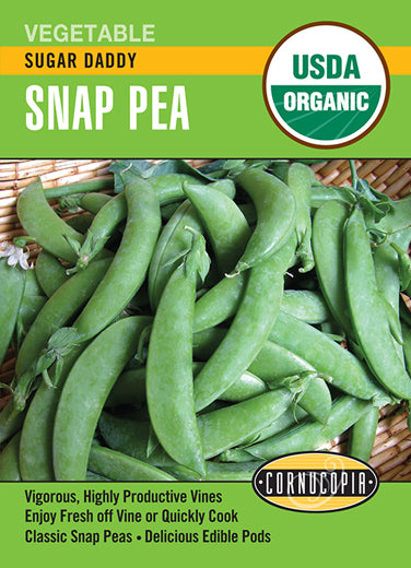 'Sugar Daddy' Organic Pea