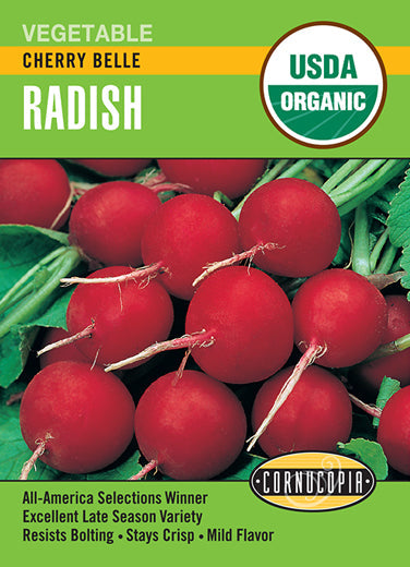 'Cherry Belle' Organic Radish